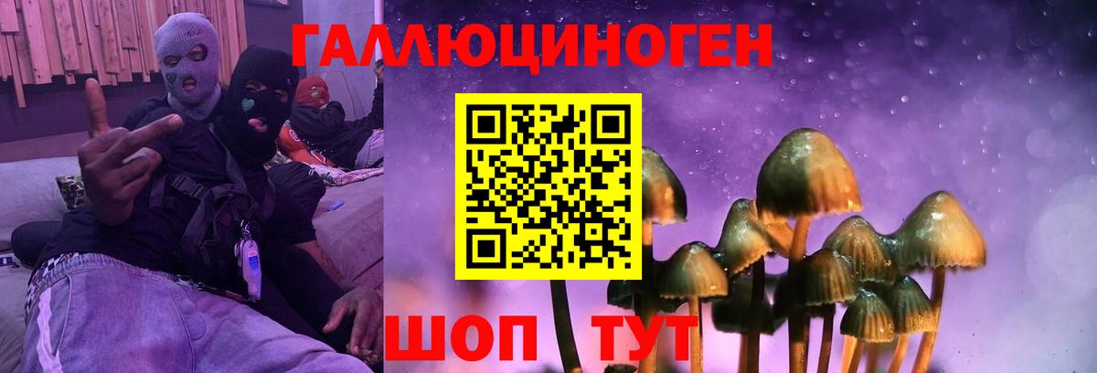 Зерноград  Псилоцибиновые грибы Psilocybe  Вход с VPN  Галлюциногенные грибы ЛСД 